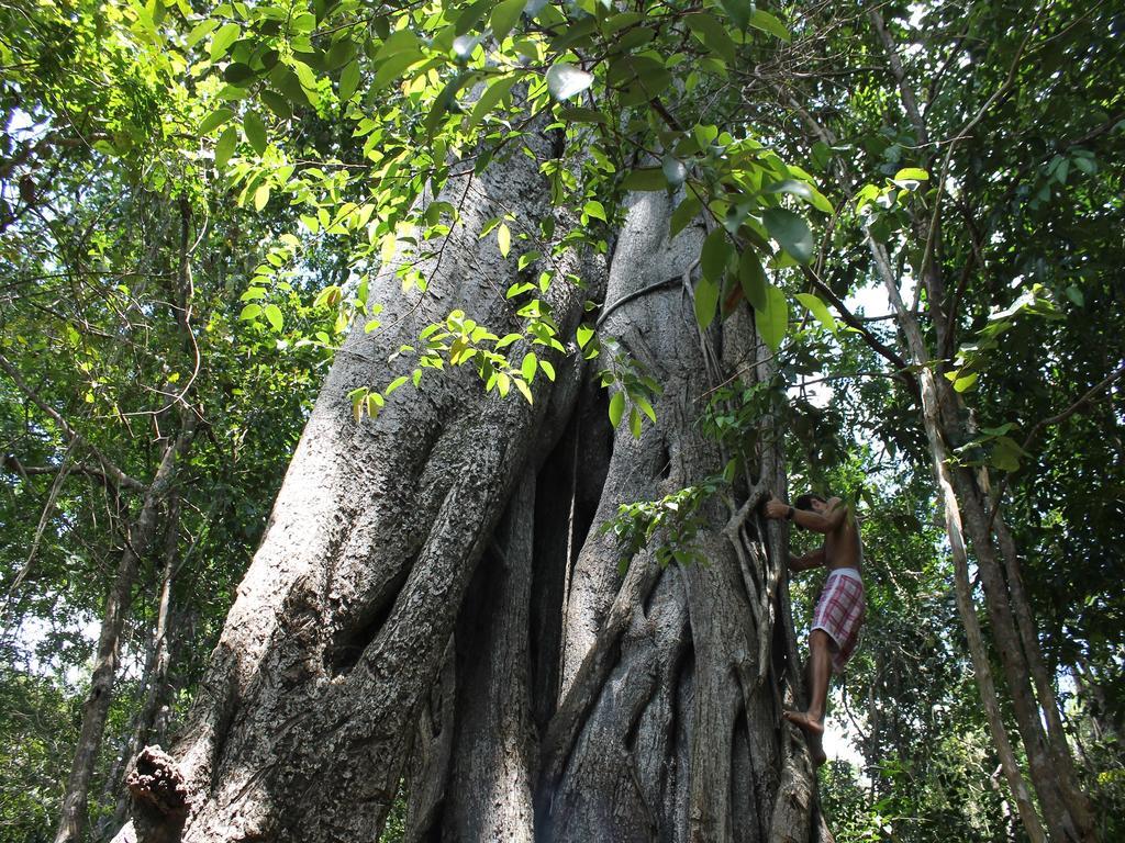 Pousada La Bonita บายาฟอร์โมซา ภายนอก รูปภาพ